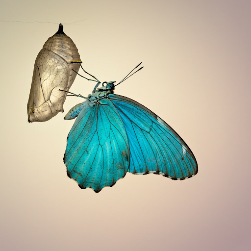 045808b0f5ff9ca87ba3cffbe6290b97